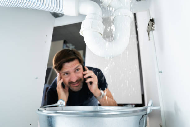 Best Gas Line Repair  in Hayfield, MN