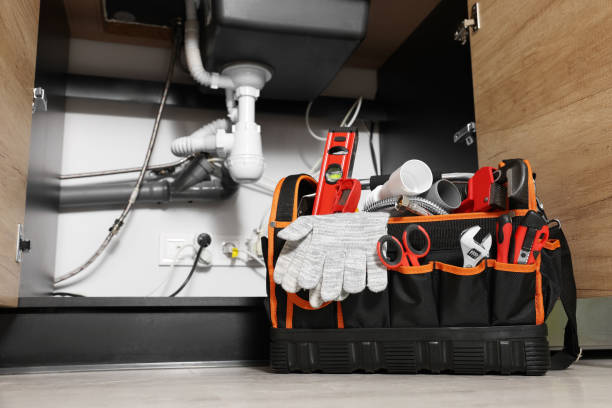 Best Emergency Plumber  in Hayfield, MN