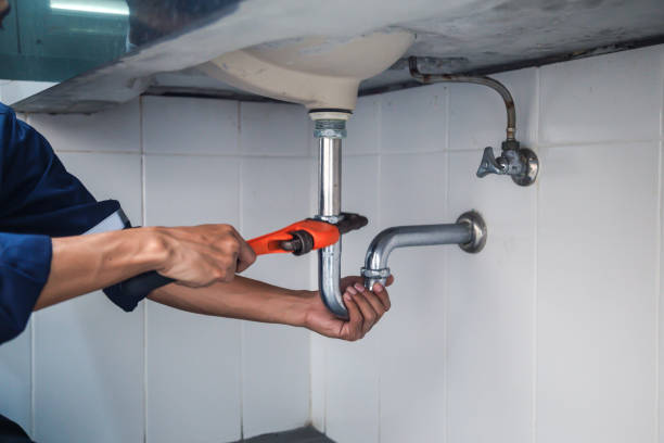 Best Plumbing Inspection Services  in Hayfield, MN